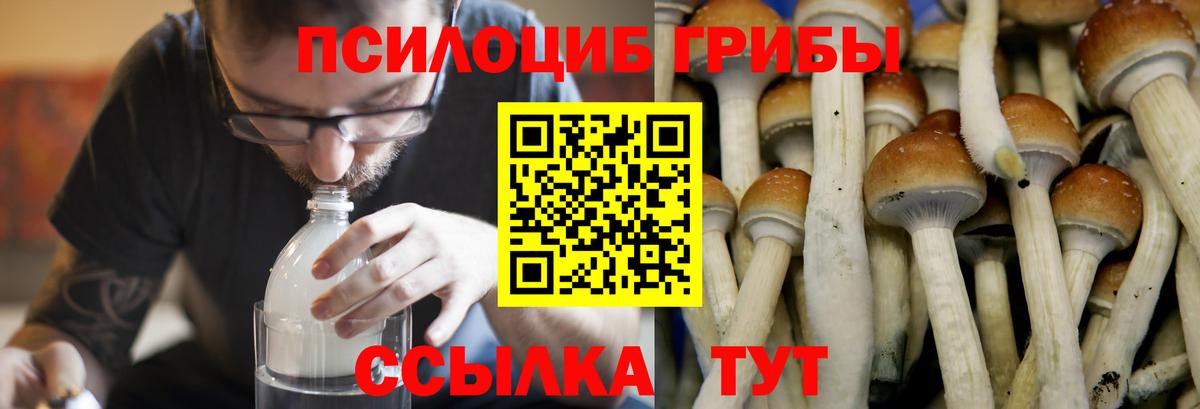 Галлюциногенные грибы прущие грибы  Вход с VPN  Ачинск  Псилоцибиновые грибы ЛСД 